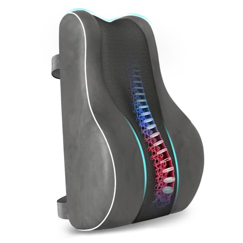 CloudBliss Ergonomic Memory Foam Lumbar Support Pillow