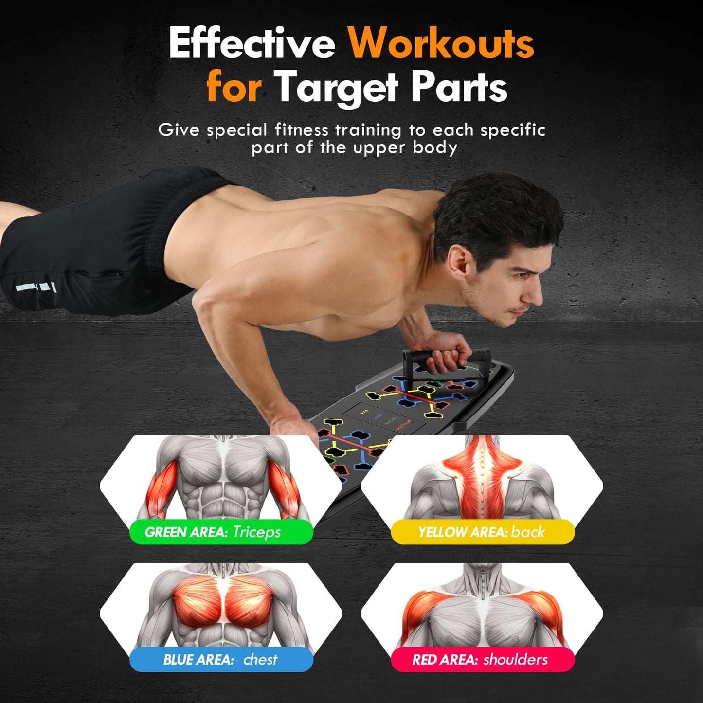 Push Up Board Home Gym Set | Portable Full Body Workout Equipment with Resistance Bands, Pilates Bar & Ab Roller