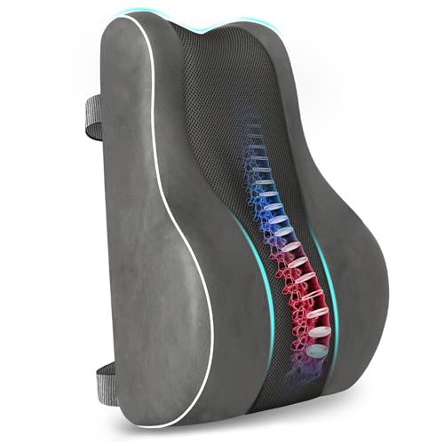 CloudBliss Ergonomic Memory Foam Lumbar Support Pillow