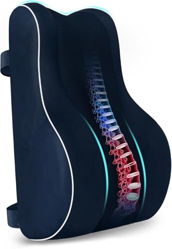 CloudBliss Ergonomic Memory Foam Lumbar Support Pillow