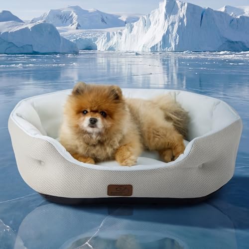 Bedsure Washable Round Plush Small Dog Bedding Mat