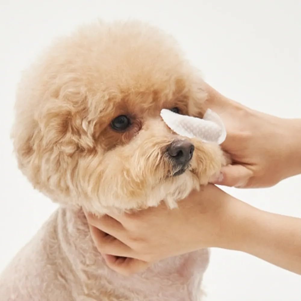 Disposable Ear & Facial Dry Wipes 60 Count | Ultra Soft Fragrance-Free Hypoallergenic Cleaning Wipes