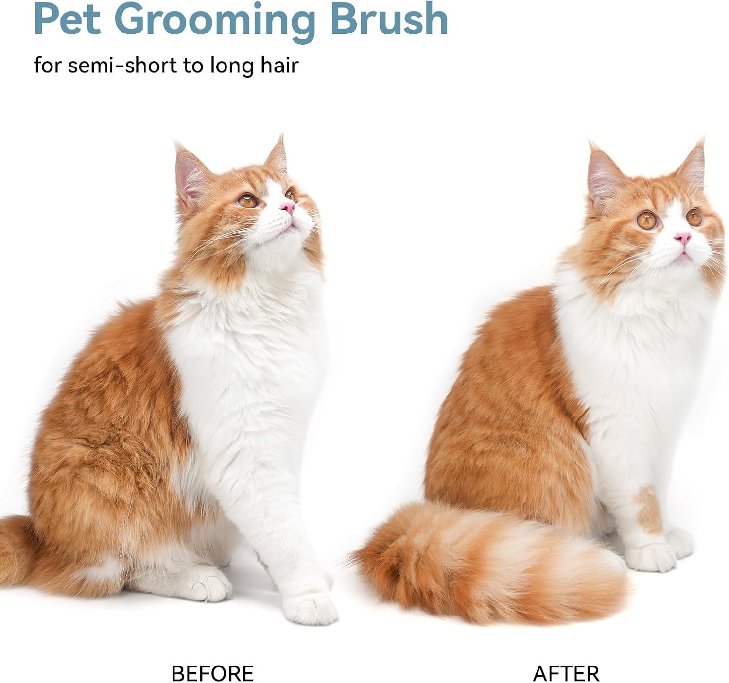 Aumuca Self-Cleaning Slicker Brush for Dogs and Cats Grooming Tool
