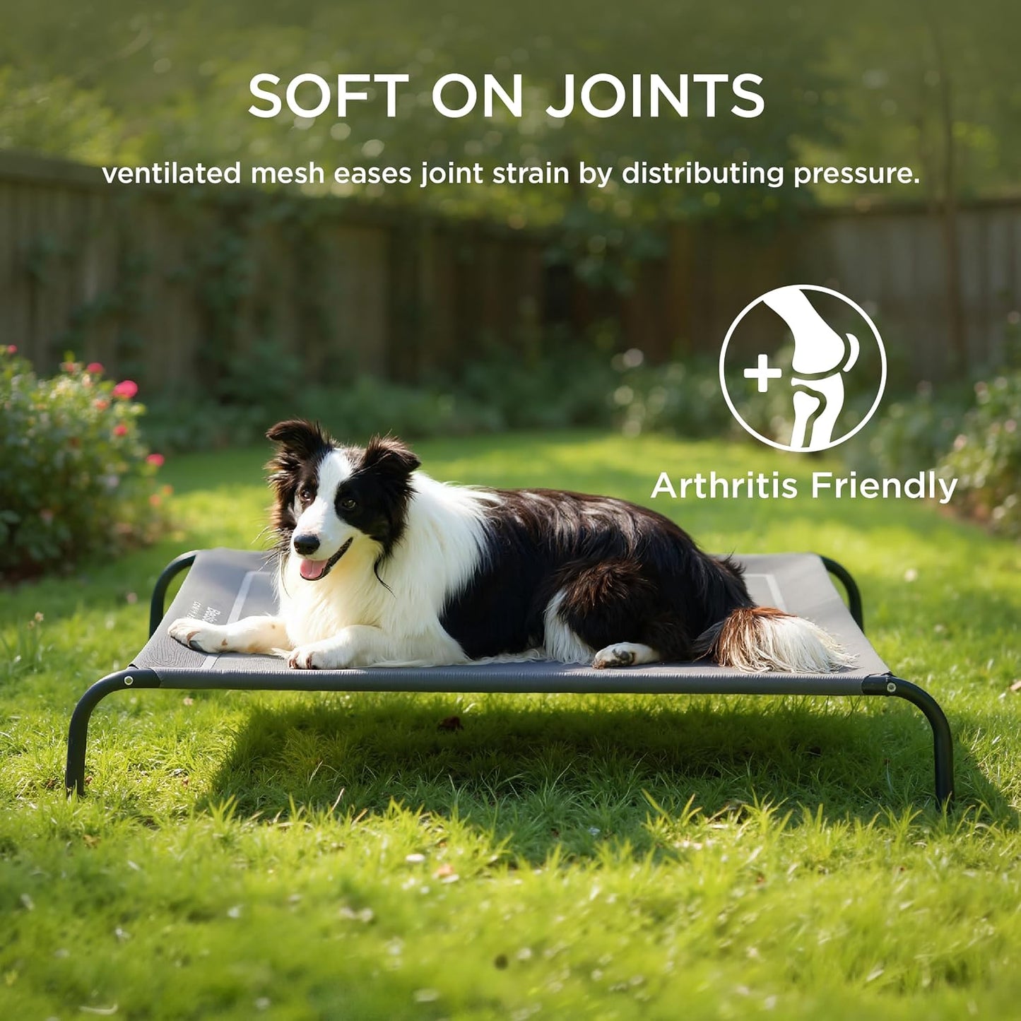 Bedsure Elevated Cooling Pet Cot Breathable Teslin Mesh
