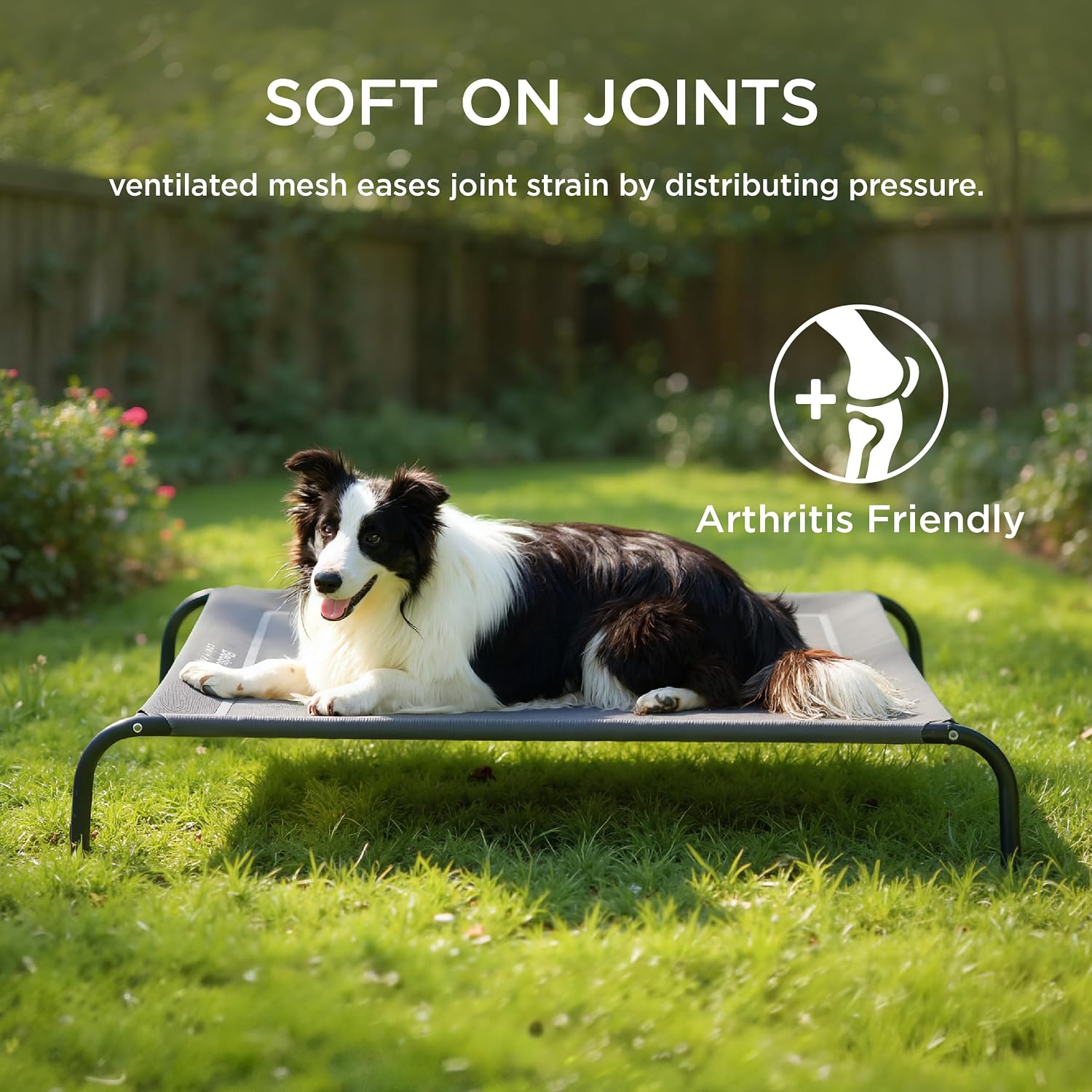 Bedsure Elevated Cooling Pet Cot Breathable Teslin Mesh